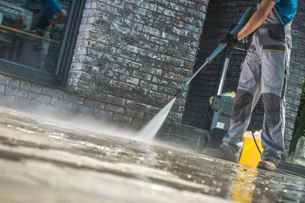 Best Gutter Cleaning  in Springfield, FL