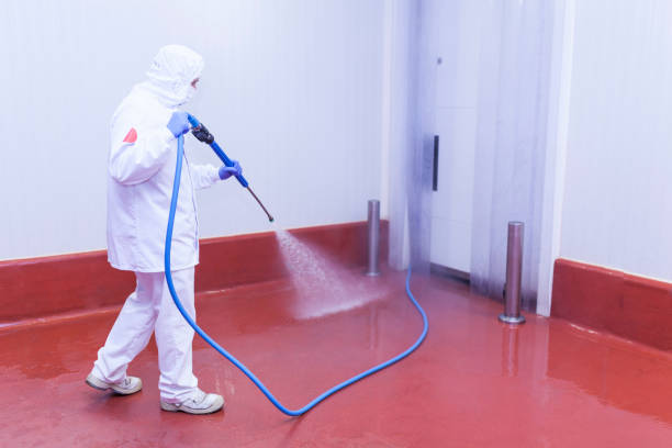 Best Building Exterior Washing  in Springfield, FL