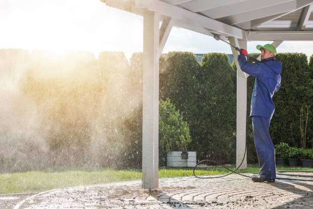 Best Animal Enclosure Cleaning  in Springfield, FL