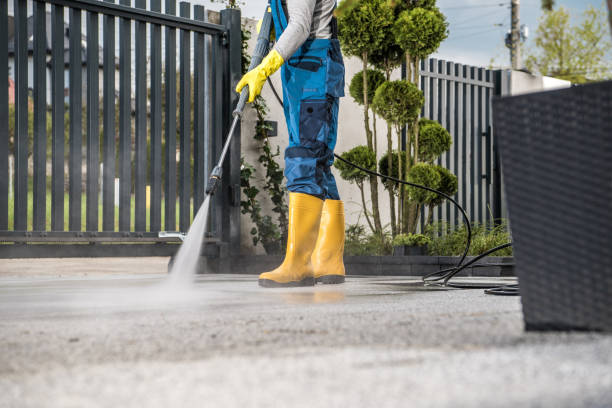 Best Driveway Pressure Washing  in Springfield, FL