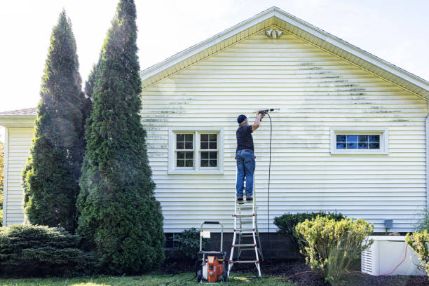 Best Patio and Deck Pressure Washing  in Springfield, FL